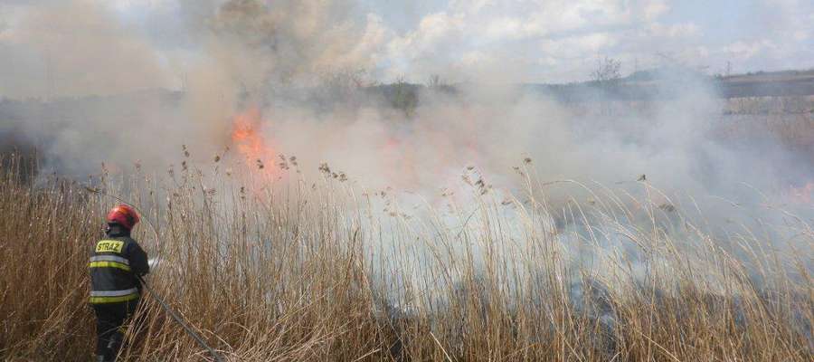 Pożar traw w okolicach Szestna z 2016 roku
