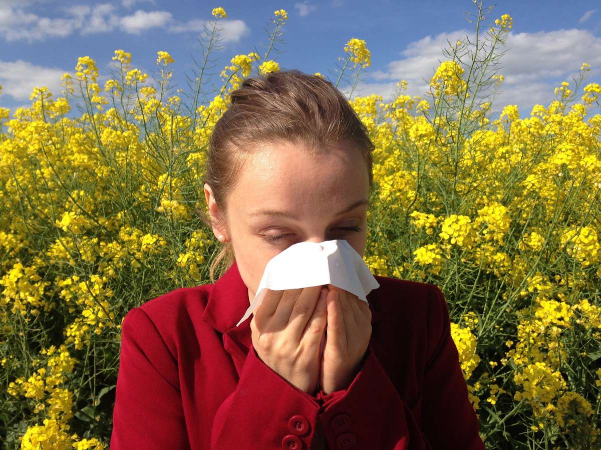 5 roślin, których muszą unikać alergicy w kwietniu i maju - full image