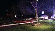 Mazda uderzyła w drzewo. Dwie osoby trafiły do szpitala