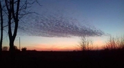 Zdjęcie Tygodnia. Zachód słońca nad Wozławkami