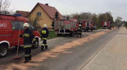 Zablokowana droga we Frygnowie, strażacy usuwają olej napędowy [zdjęcia]