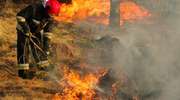 Stop pożarom traw - apel strażaków!