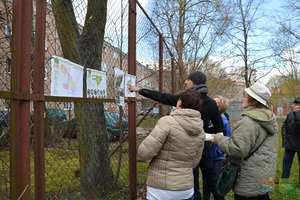 Studenci zmienią olsztyńskie podwórka 