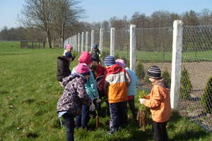 Uczniowie SP w Galinach posadzili drzewa w szkolnym ogrodzie
