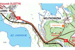 Tysiące dębów na Święto Lasu