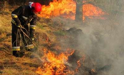 Wypalanie traw jest niebezpieczne