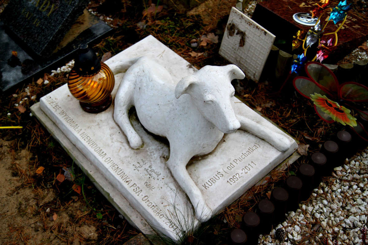 cmentarz dla zwierząt