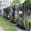 Rozkład jazdy autobusów w Kortowiadę. Sprawdź!