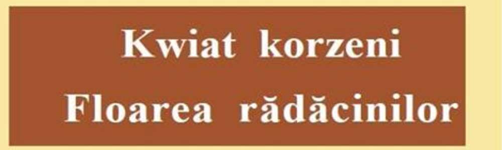 Poezja dla Rodaka - spotkanie z duszą rodaka z Rumunii