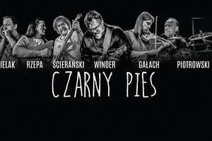 Czarny pies w Sowie