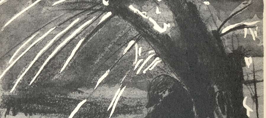  Rycina autorstwa J. Domino – widać na niej płaczącą wierzbę otulającą żołnierza w bikornie na głowie, a obok wbitą w ziemię szablę …
