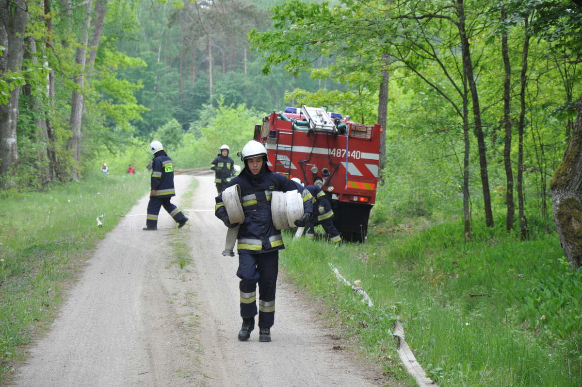 Ćwiczenia strażaków w lesie