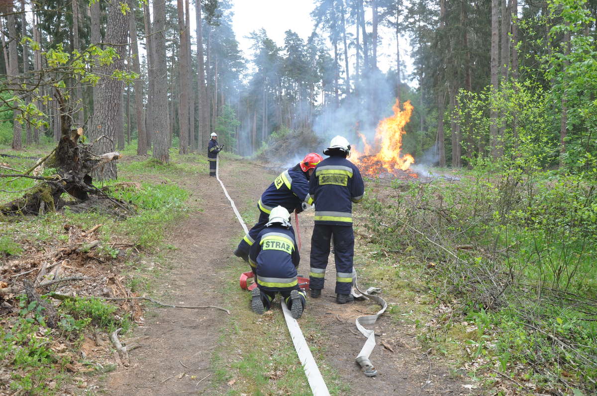 Ćwiczenia strażaków w lesie