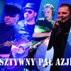 Sztywny Pal Azji tegoroczną gwiazdą ZMRock