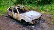 19 i 21- latek ukradli samochód i spalili go w lesie. Usłyszeli zarzuty