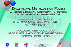 Drużynowe Mistrzostwa Polski w tenisie stołowym w Działdowie