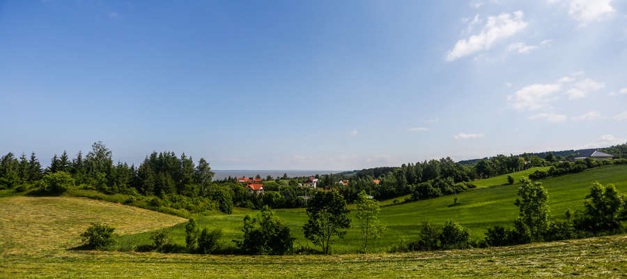 Suchacz położony jest nad Zalewem Wiślanym, około 15 km od Elbląga, na obszarze Parku Krajobrazowego Wysoczyzny Elbląskiej. Miejscowość znajduje się na trasie Kolei Nadzalewowej (obecnie nieczynnej).