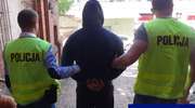 Policja zlikwidowała kolejną plantację marihuany w regionie 