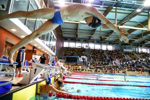 Pływackie mistrzostwa Polski w olsztyńskiej Aquasferze