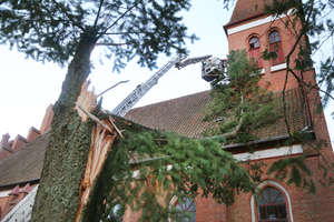 Wichura powaliła drzewo na dach zabytkowego kościoła w Orzechowie [zdjęcia i film]