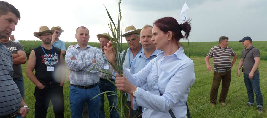 Podczas Panoramy Pól w Bałcynach dr Marta Damszel, fitopatolog z UWM w Olsztynie, przedstawiała rolnikom jak rozpoznawać choroby zbóż i jak im zapobiegać 
