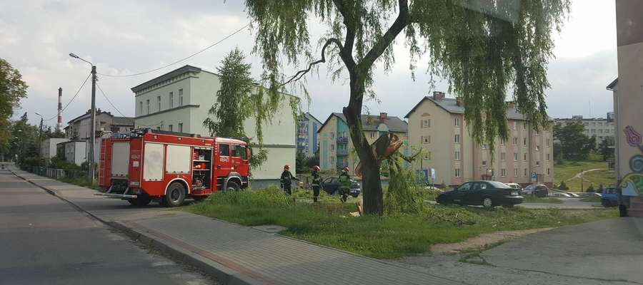 Aż dwie interwencje strażackie odbywały się przy ul. Wojska Polskiego w Iławie i miały związek z uszkodzonymi konarami drzew 

