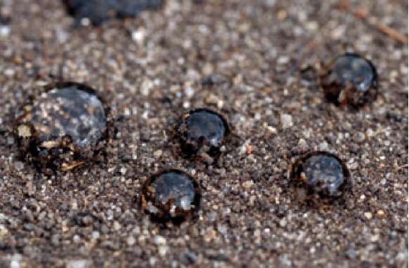 Na glebie przesuszonej krople cieczy opryskowej o dużym napięciu powierzchniowym słabo zwilżają powierzchnię gleby i nie wnikają w strefę kiełkowania chwastów 