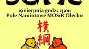Pokaz sumo