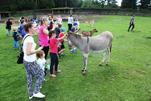 Dzieci z Korsz odwiedziły park dzikich zwierząt