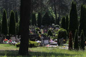 Krematorium na cmentarzu w Dywitach na razie nie powstanie. Co dalej z wielkim projektem?
