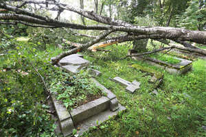 Drzewo spadło na groby na cmentarzu w Olsztynie [ZDJĘCIA i FILM]