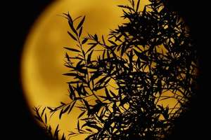 Księżyc zaćmiony i latające Perseidy można będzie podziwiać w Obserwatorium w Truszczynach
