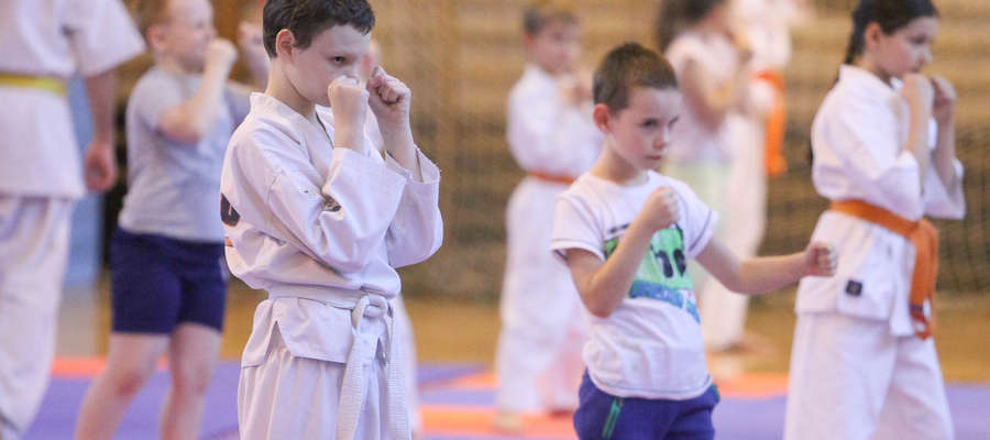 Od 21 do 26 sierpnia w Zespole Szkół Ekonomiczno-Handlowych w Olsztynie czeka nas XV Letnia Akademia Karate