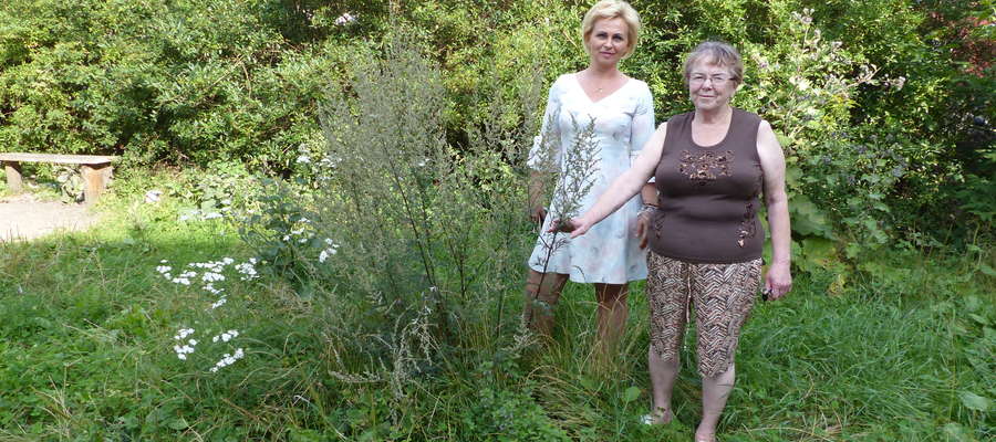 Ewa Bagińska i Gerda Maślanik mieszkają w sąsiedztwie tego paskudnego podwórka. Obie wspominają czasy, kiedy wyglądało ono zupełnie inaczej