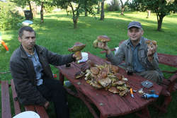 Panowie Grzegorz (po lewej) i Paweł, w lesie w okolicach Dąbrowy koło Bisztynka, w ciągu dwóch godzin zebrali pokaźną ilość prawdziwków.