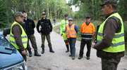 Leśniczy prowadzą profilaktyczne patrole. Szukają martwych dzików