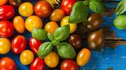 Pomidor – nasz superfood [PRZEPISY]
