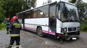 Szkolny autobus uderzył w drzewo. W środku było siedmioro dzieci [ZDJĘCIA]