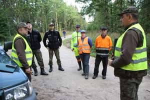 Leśniczy prowadzą profilaktyczne patrole. Szukają martwych dzików