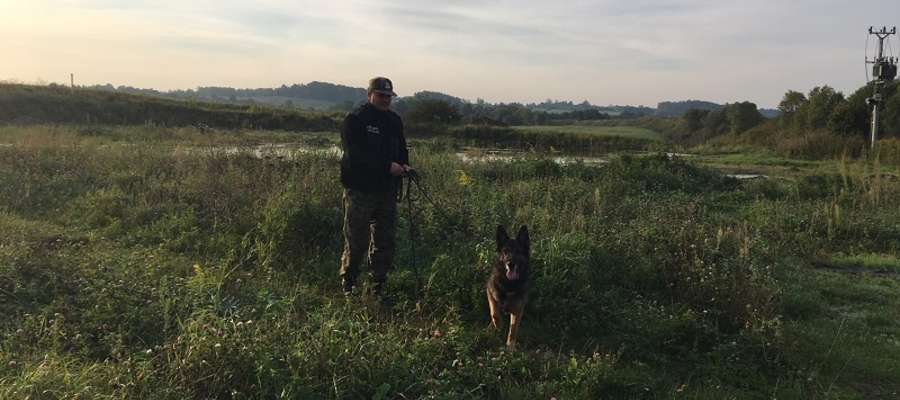 Pies Hardo pomógł w odnalezieniu zaginionego w okolicach Górowa Iławeckiego.