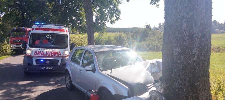  W Polskiej Wsi samochód osobowy uderzył w przydrożne drzewo