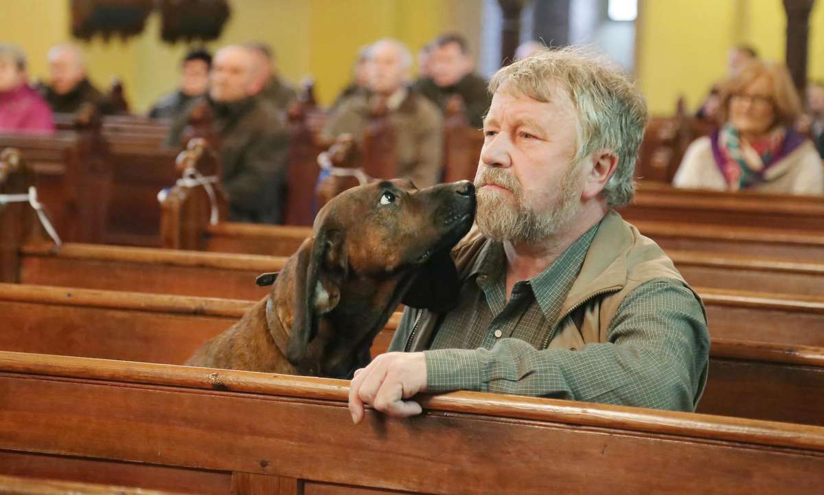 Konkurs psów myśliwskich

Orzechowo-Międzynarodowy Konkurs Pracy Posokowców i Międzynarodowy Konkurs Pracy Tropowców dla Ogarów i Gończych Polskich. Tego samego dnia odbyła się również Krajowa Wystawa Psów Gończych