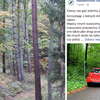 Tak zostawił auto w lesie. Leśnicy apelują do kierowców, by tak nie parkować