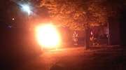 Przy ul. 1 Maja spłonęła honda [ZDJĘCIA]. Policja szuka właściciela