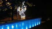 Park Podzamcze wypiękniał. Pojawiły się świetlne dekoracje 