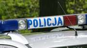 Złodzieje chryzantem wpadli w ręce policji
