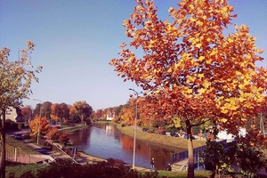 Zdjęcie Tygodnia. Jesień nad Łyną w Bartoszycach