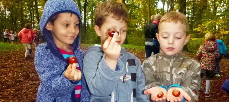 Przedszkolaki szukali skarbów w jesiennym parku 