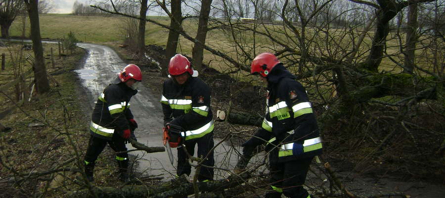 Strażacy walczą nie tylko z nadmiarem wody, ale też z poprzewracanymi przez wichurę drzewami.