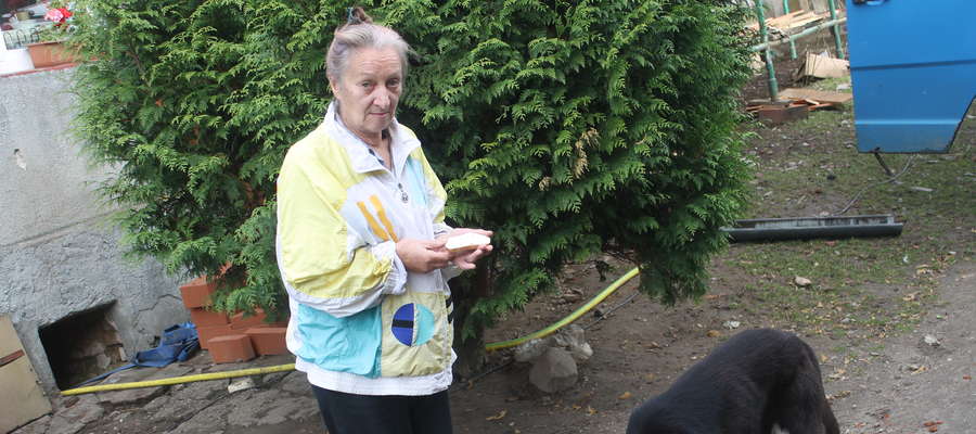 Wiesława Bielińska ma na sobie kurtkę, w której była wtedy w lesie. Towarzyszy jej drugi pies, który miał więcej szczęścia niż zastrzelony Amor